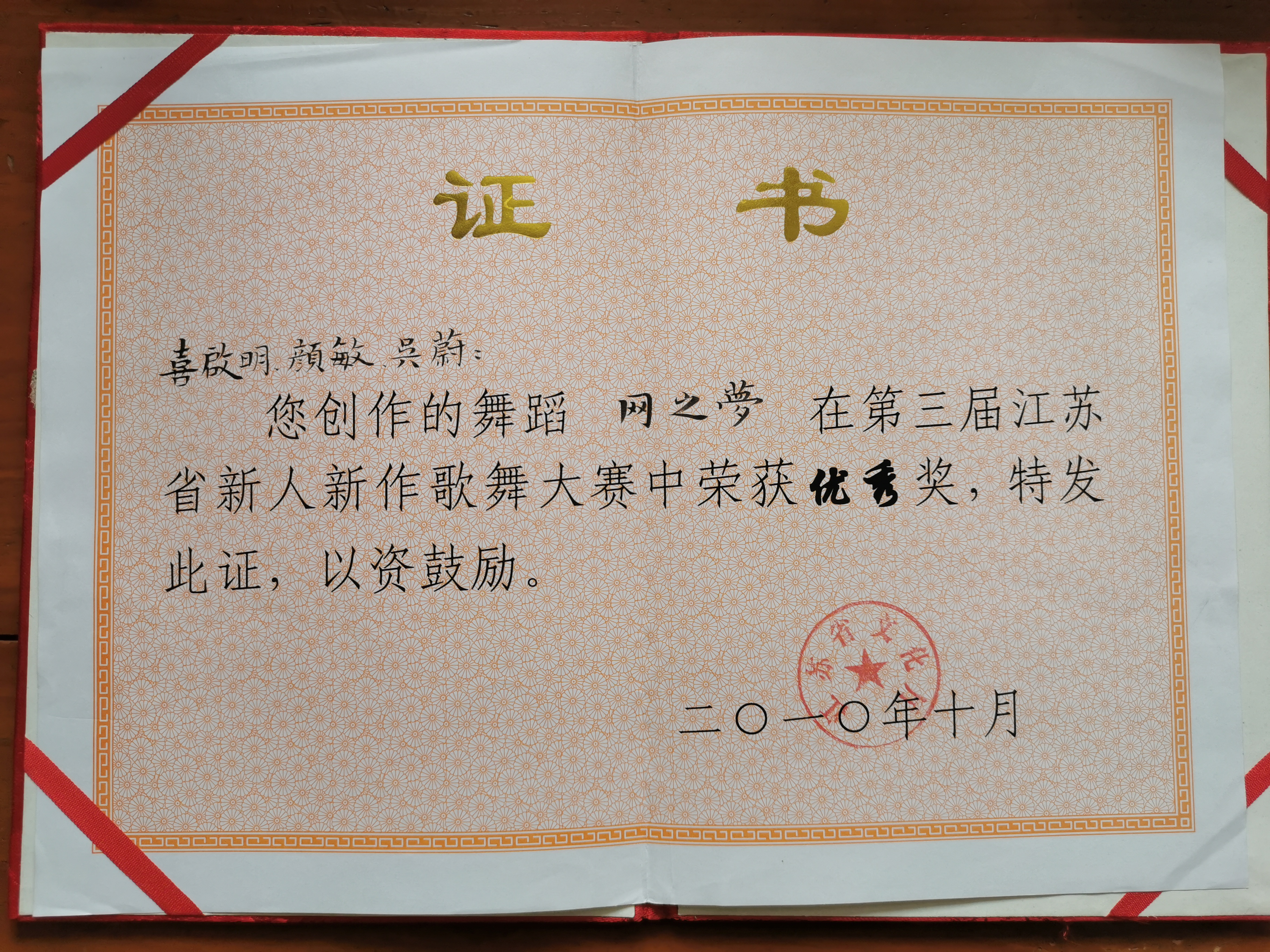 2010网子梦  表演优秀奖 江苏省